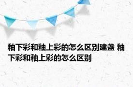 釉下彩和釉上彩的怎么区别建盏 釉下彩和釉上彩的怎么区别
