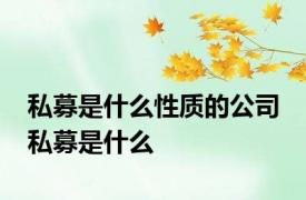 私募是什么性质的公司 私募是什么 