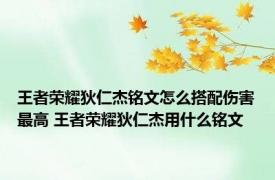 王者荣耀狄仁杰铭文怎么搭配伤害最高 王者荣耀狄仁杰用什么铭文