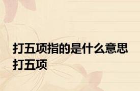 打五项指的是什么意思 打五项 