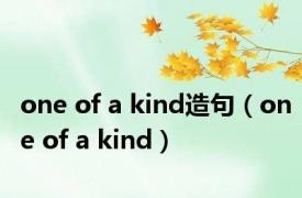 one of a kind造句（one of a kind）