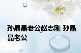 孙晶晶老公赵志刚 孙晶晶老公 