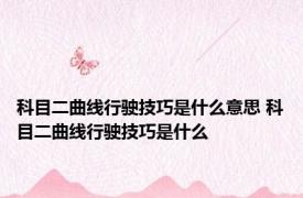 科目二曲线行驶技巧是什么意思 科目二曲线行驶技巧是什么