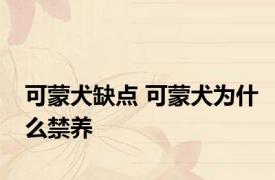 可蒙犬缺点 可蒙犬为什么禁养