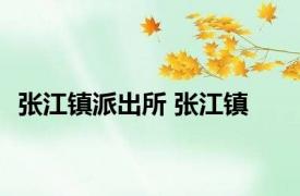 张江镇派出所 张江镇 