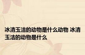 冰清玉洁的动物是什么动物 冰清玉洁的动物是什么