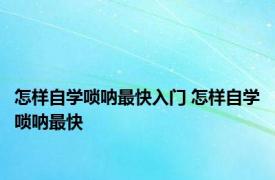怎样自学唢呐最快入门 怎样自学唢呐最快