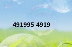 491995 4919 
