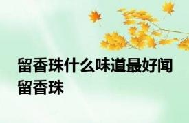 留香珠什么味道最好闻 留香珠 