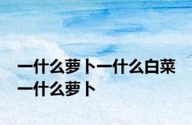 一什么萝卜一什么白菜 一什么萝卜 