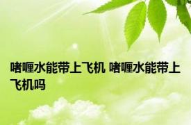 啫喱水能带上飞机 啫喱水能带上飞机吗