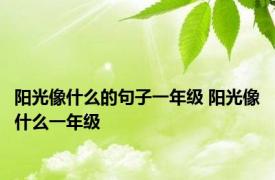 阳光像什么的句子一年级 阳光像什么一年级 