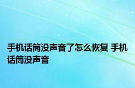 手机话筒没声音了怎么恢复 手机话筒没声音 