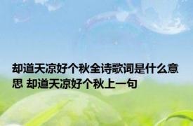 却道天凉好个秋全诗歌词是什么意思 却道天凉好个秋上一句