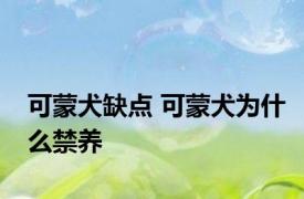 可蒙犬缺点 可蒙犬为什么禁养
