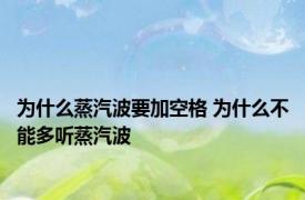 为什么蒸汽波要加空格 为什么不能多听蒸汽波