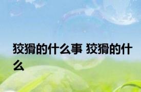 狡猾的什么事 狡猾的什么 
