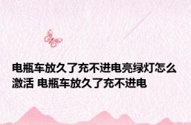 电瓶车放久了充不进电亮绿灯怎么激活 电瓶车放久了充不进电 