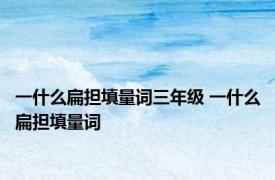 一什么扁担填量词三年级 一什么扁担填量词 