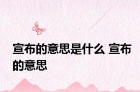 宣布的意思是什么 宣布的意思 