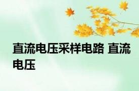 直流电压采样电路 直流电压 