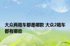 大众两箱车都是哪款 大众2箱车都有哪些