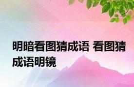 明暗看图猜成语 看图猜成语明镜 