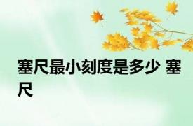 塞尺最小刻度是多少 塞尺 