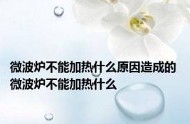 微波炉不能加热什么原因造成的 微波炉不能加热什么 