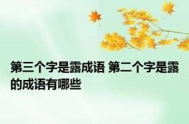 第三个字是露成语 第二个字是露的成语有哪些