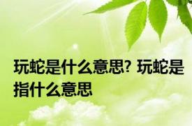 玩蛇是什么意思? 玩蛇是指什么意思
