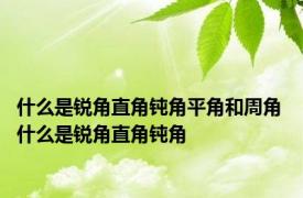 什么是锐角直角钝角平角和周角 什么是锐角直角钝角