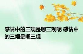 感情中的三观是哪三观呢 感情中的三观是哪三观 