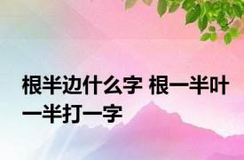 根半边什么字 根一半叶一半打一字 