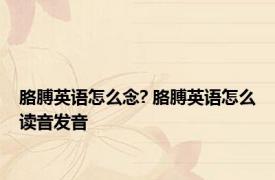 胳膊英语怎么念? 胳膊英语怎么读音发音 