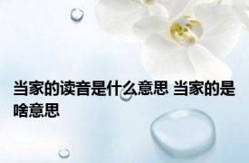 当家的读音是什么意思 当家的是啥意思