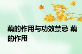 藕的作用与功效禁忌 藕的作用 