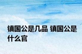 镇国公是几品 镇国公是什么官