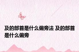 及的部首是什么偏旁法 及的部首是什么偏旁 