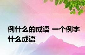 例什么的成语 一个例字什么成语