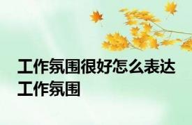 工作氛围很好怎么表达 工作氛围 