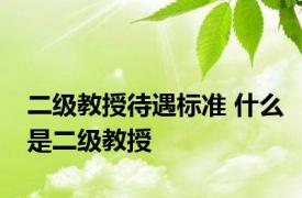 二级教授待遇标准 什么是二级教授