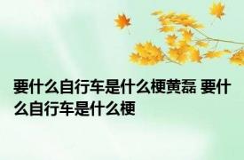 要什么自行车是什么梗黄磊 要什么自行车是什么梗