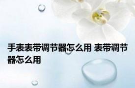 手表表带调节器怎么用 表带调节器怎么用