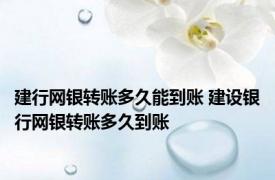 建行网银转账多久能到账 建设银行网银转账多久到账