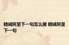 精诚所至下一句怎么接 精诚所至下一句 