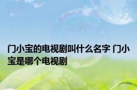 门小宝的电视剧叫什么名字 门小宝是哪个电视剧 
