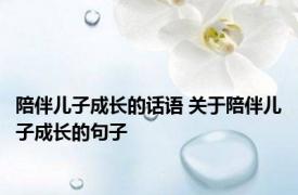 陪伴儿子成长的话语 关于陪伴儿子成长的句子