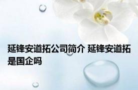 延锋安道拓公司简介 延锋安道拓是国企吗