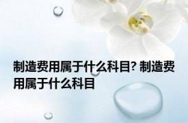 制造费用属于什么科目? 制造费用属于什么科目 